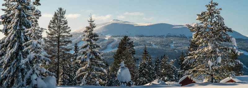Trysil Ski & Snowboard Holidays