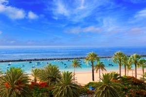 Canary Islands