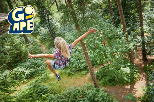Tree Top Challenge for Two valued at £66.00