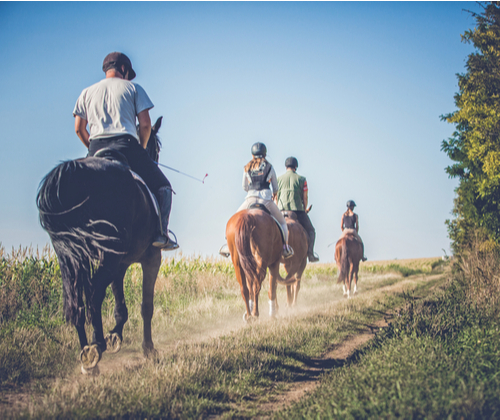 Horse Riding Experience valued at £35.00