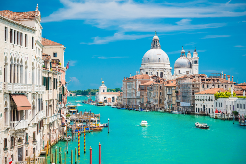 Venice: Award Winner