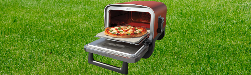 Ninja Pizza Banner
