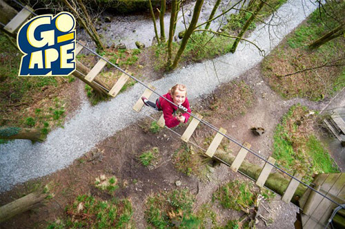 Tree Top Adventure for Two valued at £36.00