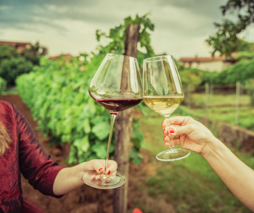 Vineyard Tour and Tasting with Lunch or Afternoon Tea for Two