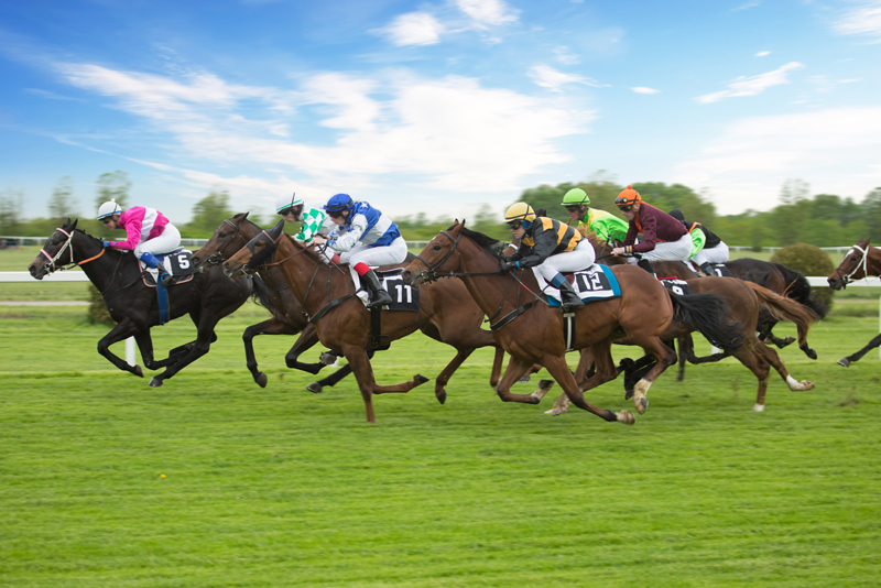 York Races & Leeds