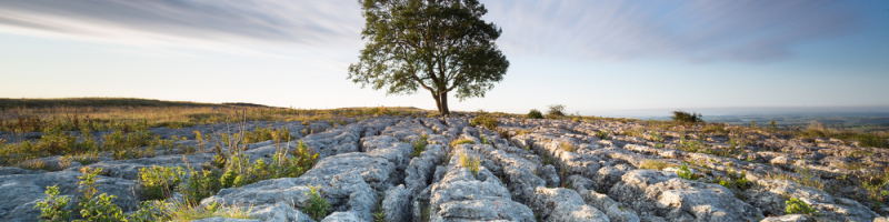 Yorkshire Dales